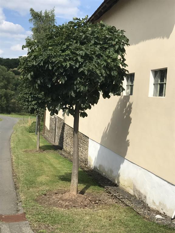 Ferienwohnung Schloessershof Borler Екстер'єр фото